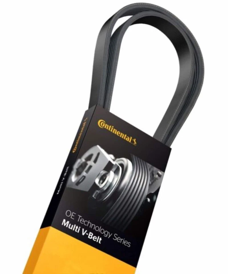 Cinturón Serpentine V Continental para Cadillac Chevy Chrysler Dodge FORD JEEP Mazda Foto 4 de 4