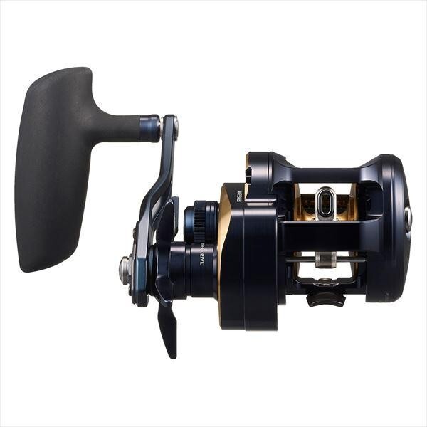 Daiwa Baitcasting Reel 25 Saltiga 300H (Right) | eBay