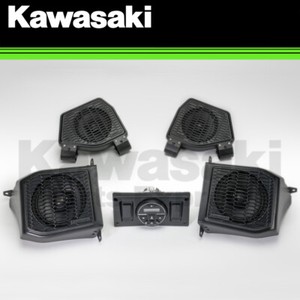 2020 kawasaki mule fxr