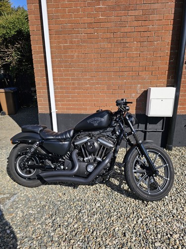 Harley-Davidson 883 Iron Sportster Low Miles Blackout Model - Picture 5 of 5
