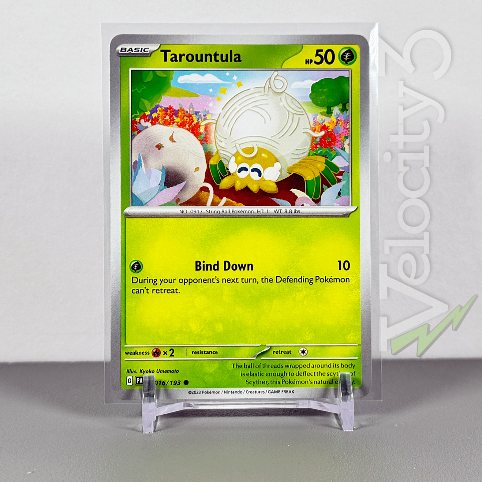 Pokemon TCG Card - Tarountula 16/193 Common |  2023 Paldea Evolved | NM/Mint