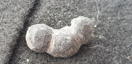 Rare little Viking bronze stud mount uncleaned  condition found in England L54z