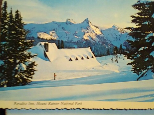 VINTAGE POST CARD PARADISE INN MOUNT RAINIER NATIONAL PARK WA. - Picture 10 of 12