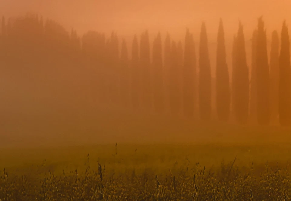 Mural De Papel Tapiz Para Sala 100x143 Pulgadas Amanecer Naranja De Toscana - Imagen 2 de 4