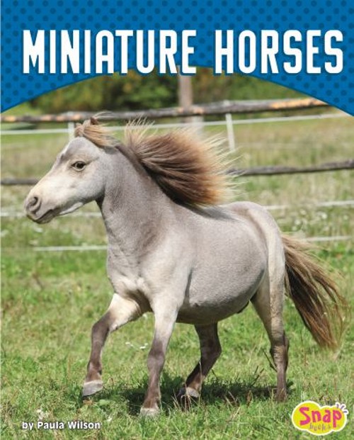 Miniature Horses Library Binding Paula M. WilsonFree US Delivery | ISBN:1543530591