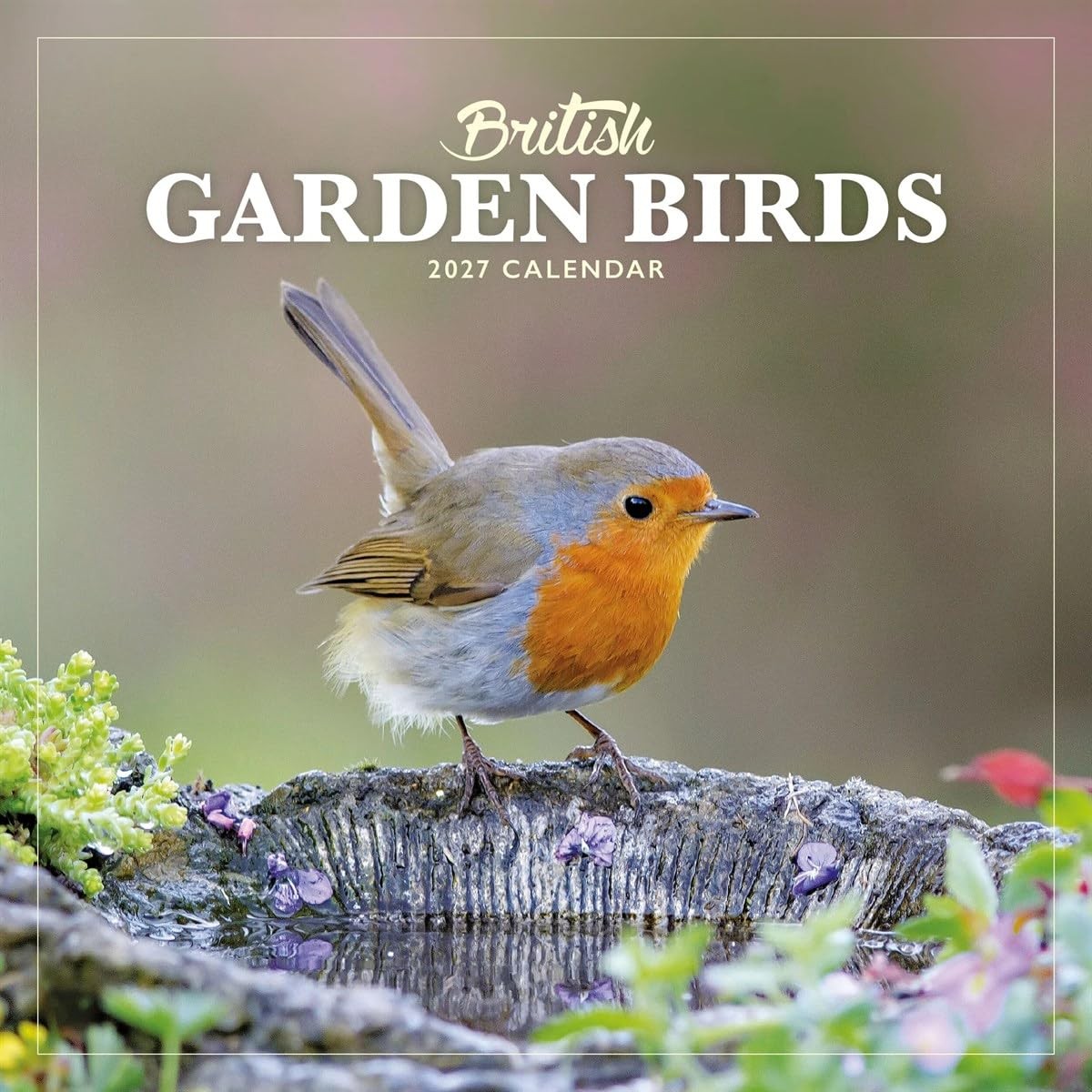 British Garden Birds Mini Calendar 2027 - Image 4