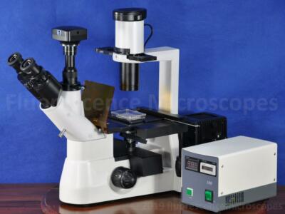 40-400x (w/10x eye) Infinity Phase Contrast Inverted Epi Fluorescence Microscope