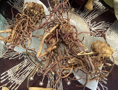 Aster Root, Keep Away Evil Spirits, Clear Stagnation, Ward Off Bad Luck