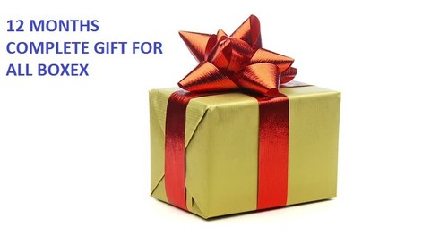 12 months gift warranty for openbox v8s * zgemma h2s vu solo