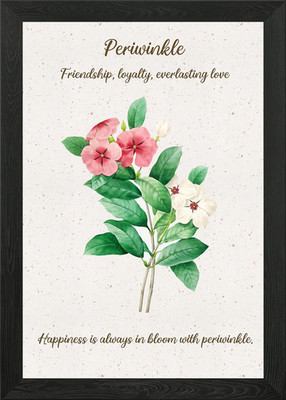 Immergrün Blume Sprache gerahmtes Wandbild Poster Leinwanddruck Bild