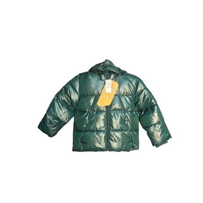 Gap Toddler Boys Shiny Lightweight Puffer Winter Jacket Junebug Green Size 3T