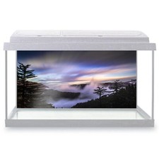 Fish Tank Background Mountain Forest Mist Pine Trees #51519