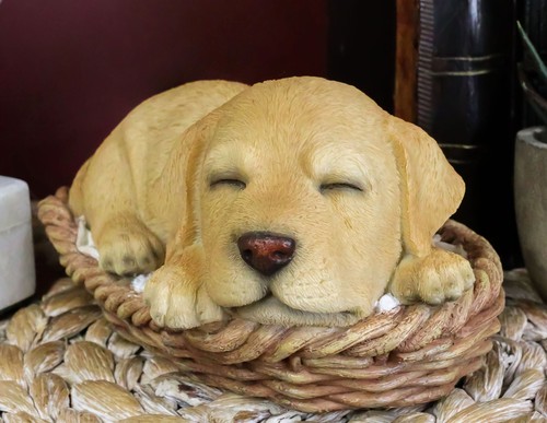 Ebros lebensechter entzückender Labrador Retriever schlafend im Korb Statue 6,25" L - Bild 8 von 9