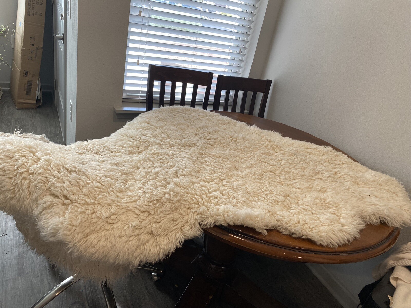 pottery barn carpet eBay