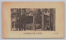 Postcard IN Sylvan Lake Limberlost Cabin Advertising Gene Stratton-Porter  C723