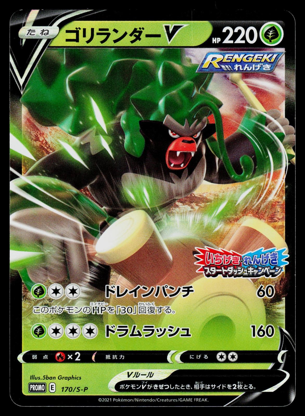 Sword & Shield Promos - NM - Rillaboom V 170/S-P Holo US Seller