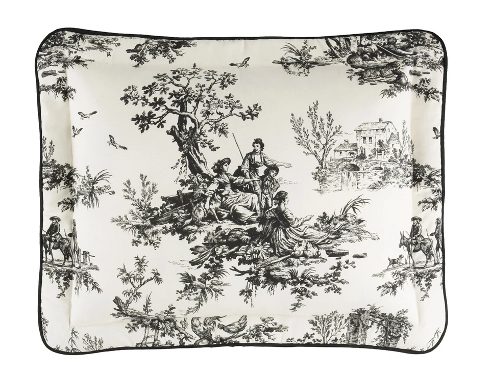 Thomasville - Juego de 2 almohadas King simuladas negras/marfil baño casa de campo francés Foto 2 de 4