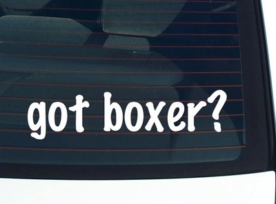 got boxer? CAR DECAL BUMPER STICKER VINYL FUNNY JOKE WINDOW