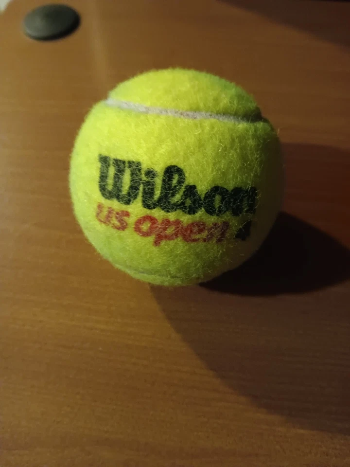 维多利亚·阿扎伦卡签名 W&S 官方练习网球美国 WTA 网球球员 — 第 3/4 张图片