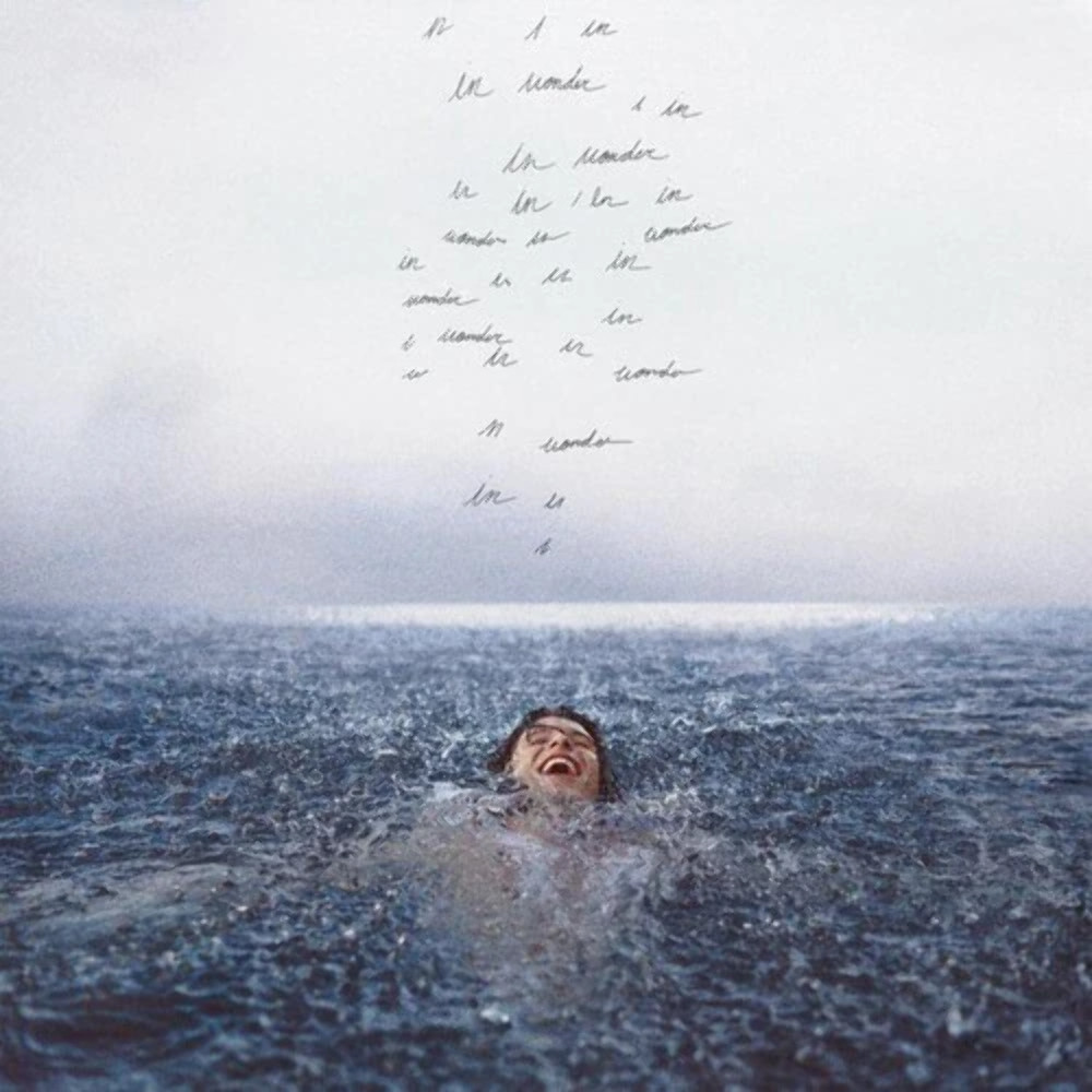 Шон Мендес - Новый виниловый альбом Wonder в запечатанном виде