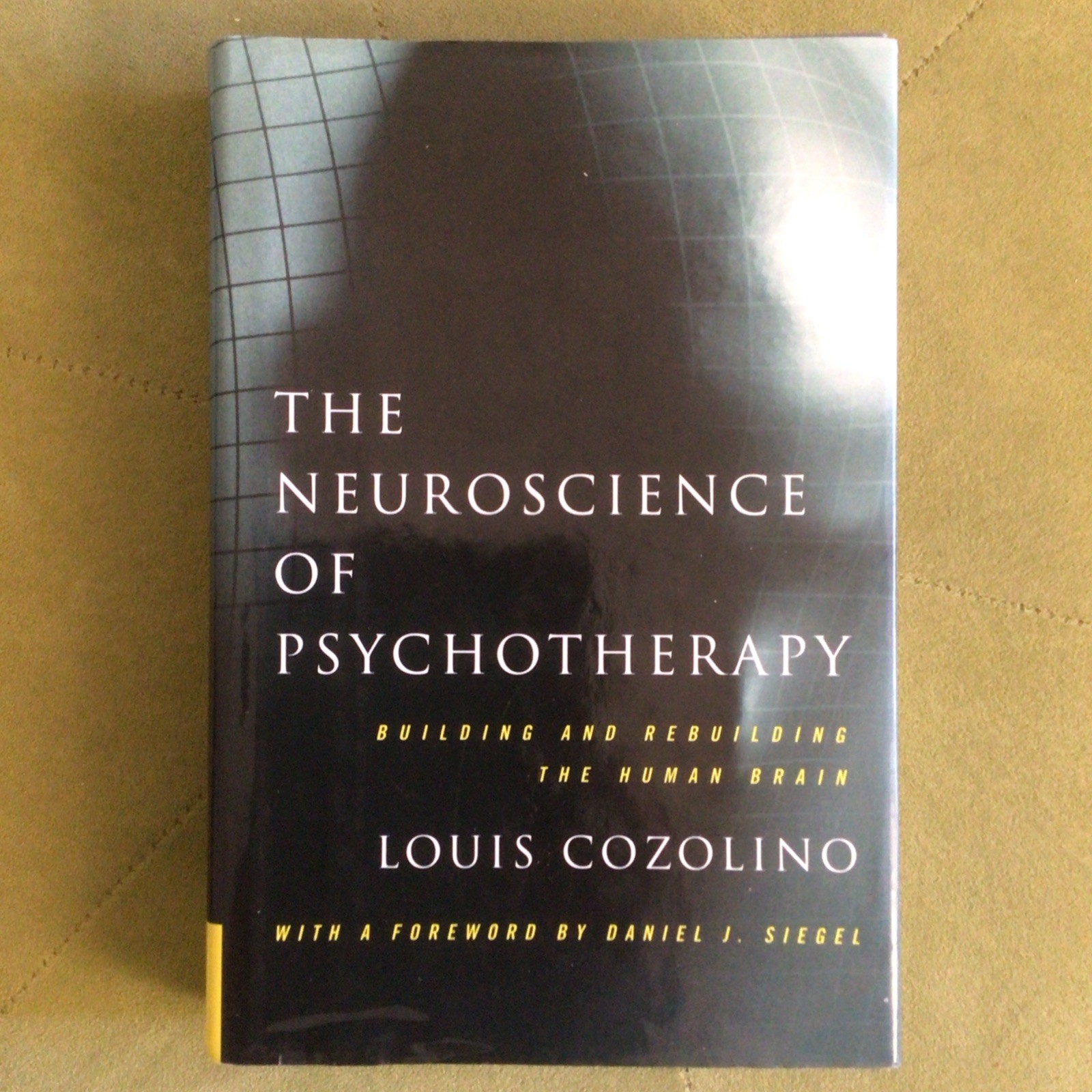 The Neuroscience of Psychotherapy: Building and ... | Book | condition very good