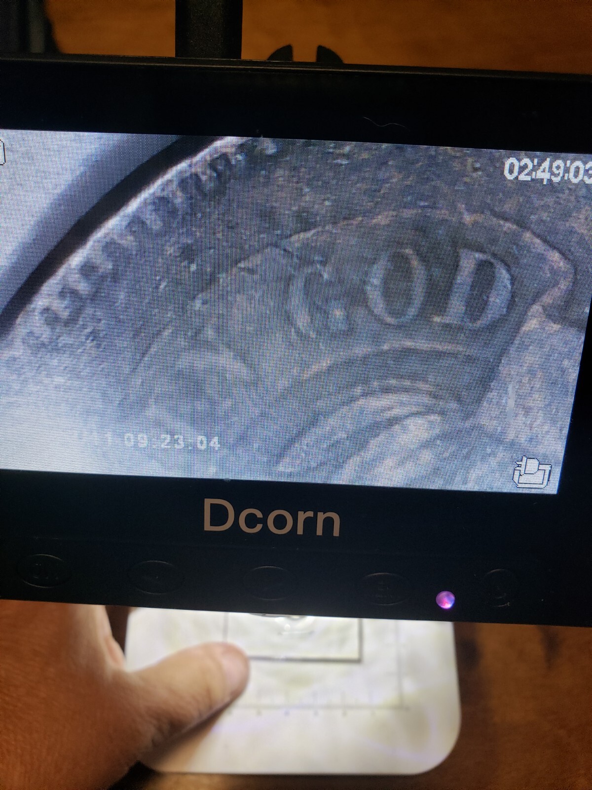 Picture 6 of 10