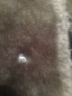 Bild 8 von 11