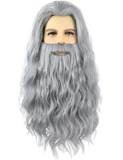 Wig and Beard Set Long Gray Beard Grey Halloween Costume Cosplay Party