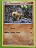 Pokémon TCG Hippopotas Primal Clash 87/160 Regular Common Basic