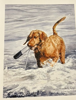 Chesapeake Bay Retrievers Limited Edition Print By Martha Van Loan. 11x17