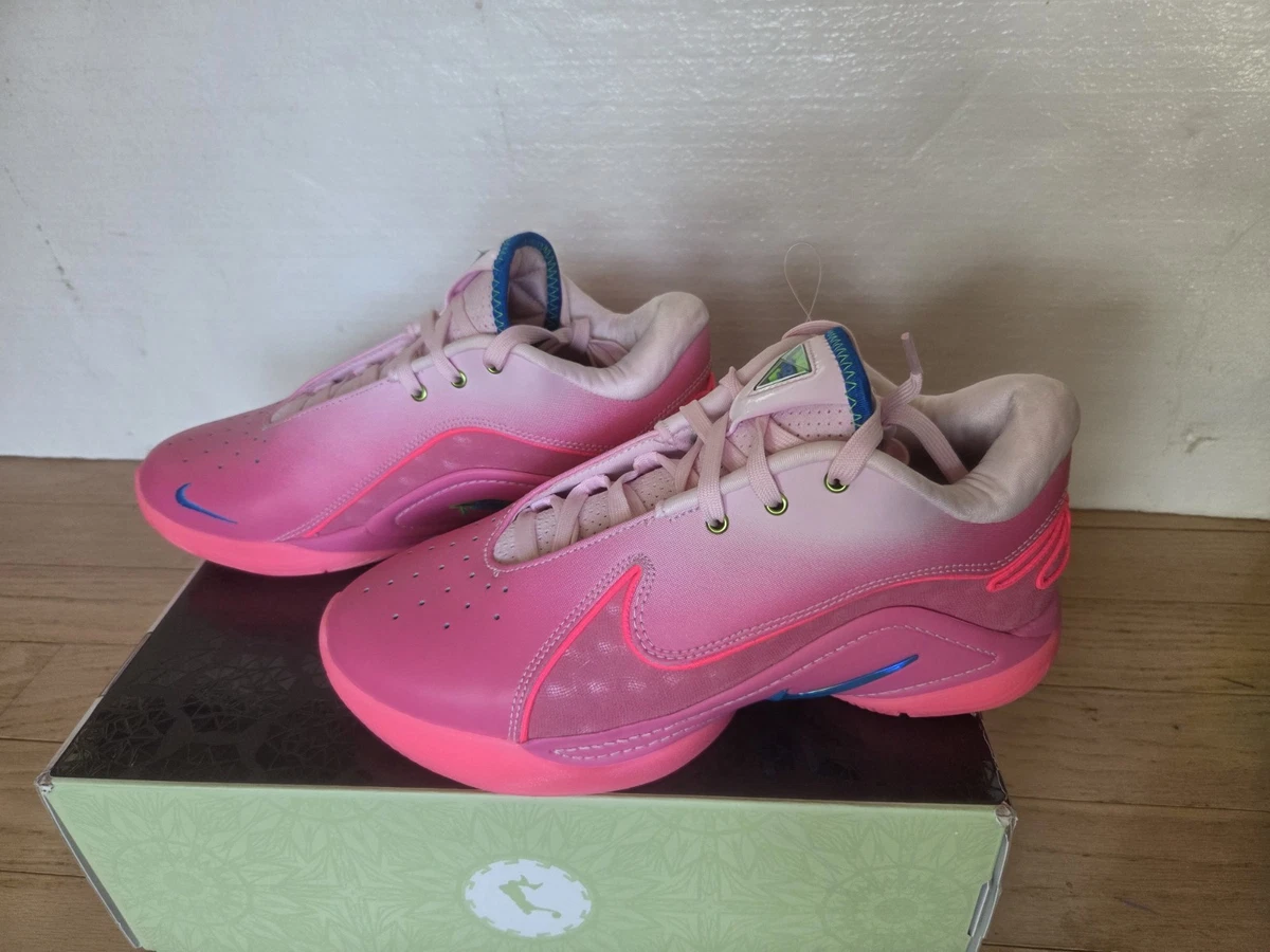 Las mejores ofertas en Nike LeBron 22 I Promise | eBay