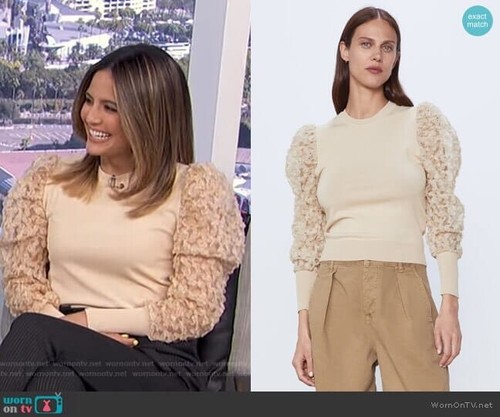 Zara Tulle Sleeve Sweater Vanilla Ref 