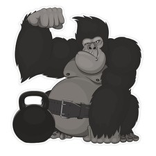 2 x Exercise Gorilla & Kettle Bell Sticker Car Bike iPad Laptop Decal Gift #4138