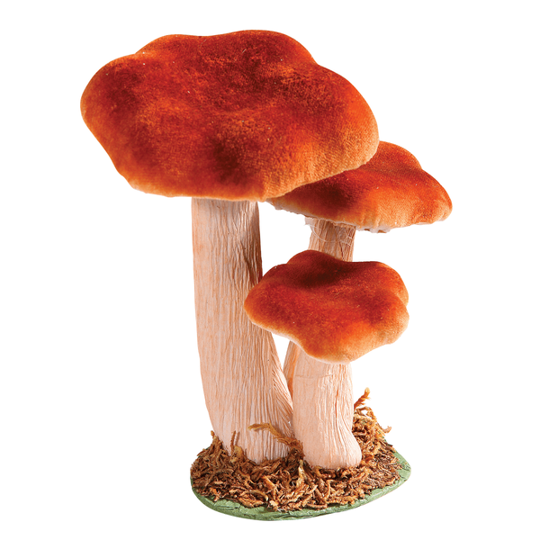 Deko Pilz-Aufsteller Aus 3 Befestigte Pilze 18 Cm Hoch Pilzdeko Herbstdeko-image
