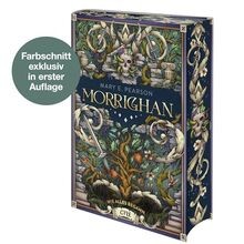 Morrighan - Wie alles begann: Prequel zu den Chroniken d... | Buch | Zustand gut