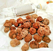 TARTUFO BIANCHETTO FRESCO UMBRIA 50 gr MARZUOLO TUBER BORCHII VITT. TARTUFI