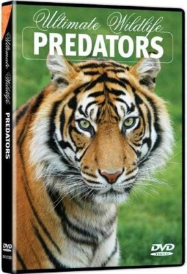 DVD - Ultimate Wildlife - Predators - [The Cats & Predators & Prey] - New