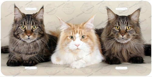Maine Coon Autocollant Vinyle Vintage Pour Voiture – Silhouette De Chat – Résistant Eau Et UV
