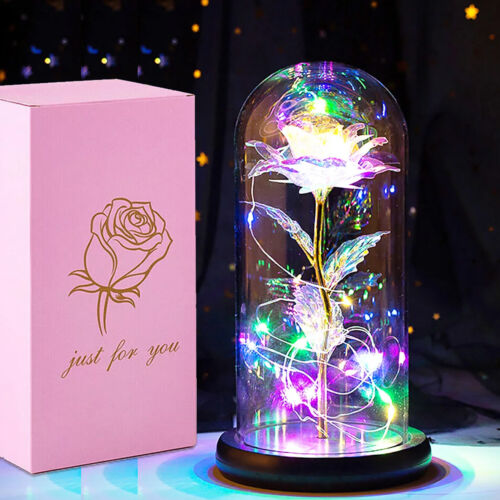 Enchanted Forever Rose Flower In Glass Dome LED Light Valentine's Day Gift Decor