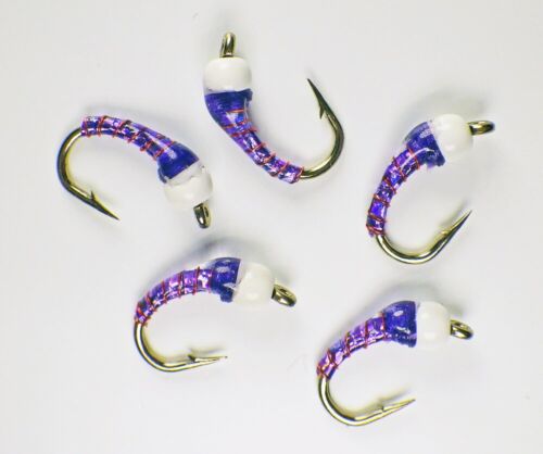 Eistüte Nymphen Chironomid Holo Purple - Premium Forelle Fliegenfischen Fliegen - Bild 11 von 24