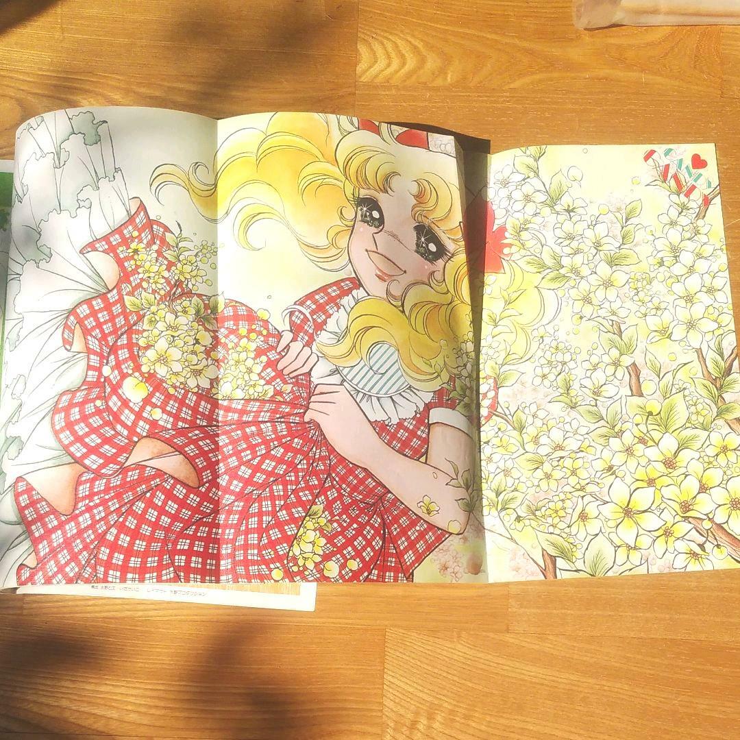 Candy Candy Illustrations Art Book part 1 & 2 Set Yumiko