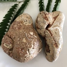 Pudding Stone, Terrazzo, Sea Rock, Sea Stone, Stone Decor, Fish Tank Decor, Rock