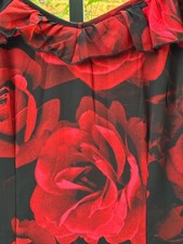 Boohoo floral chiffon long dress. Women US size 4