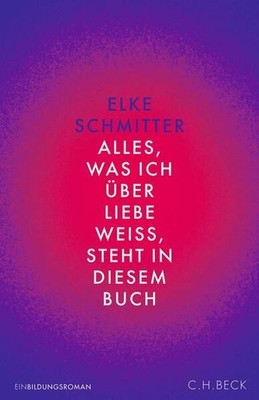 Alles, was ich über Liebe weiß, steht in diesem Buch: Einbildungsroman Einbildun