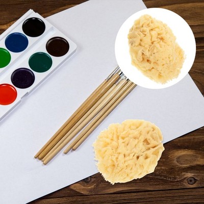 Natürlicher Schwamm Bastelschwamm Schwämme Für Den Körper Aquarellschwamm