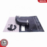 Esen SKV Ladeluftschlauch 54SKV072 FüR Renault Megane 3 KZ0 ScÉNic JZ0 BZ0 DZ0