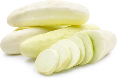 White Delicacy Cucumber - Cucumis sativus
