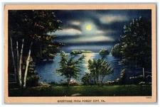 1945 Scenic View Moonlight Lake Greetings From Forest City Pennsylvania Postcard