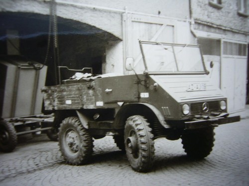 438) 3 x Foto 1969 ALZEY Rheinland-Pfalz - Weinernte mit tollem UNIMOG Schlepper