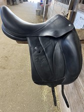 18 Voltaire Adelaide 3A (2017) Full Buffalo L...